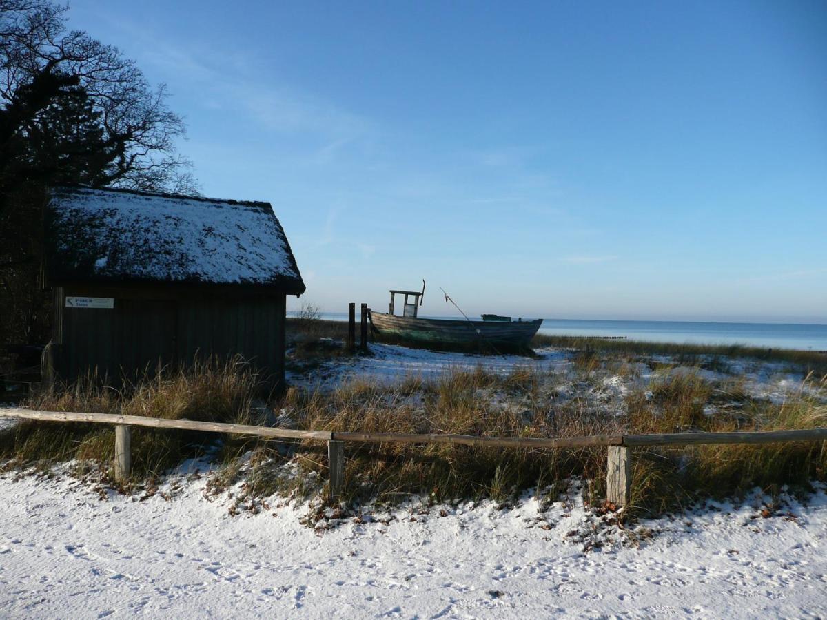 Residenz Am Strand Wohnung 2-36 Zingst Exterior photo